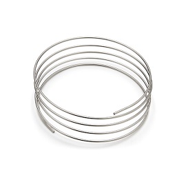 SS Tubing, 130cm OD1/16 Inch ID 0.005 Inch foto del prodotto