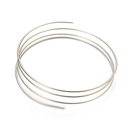 SS Tubing, 65cm OD1/16 Inch ID 0.005 Inch foto del prodotto