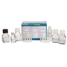 DNA 20 kb Plasmid and Linear kit foto del prodotto
