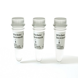 Molecular Weight Sizing Standard - 3 Pack foto del prodotto