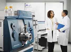 Success Fundamentals MD foto del prodotto